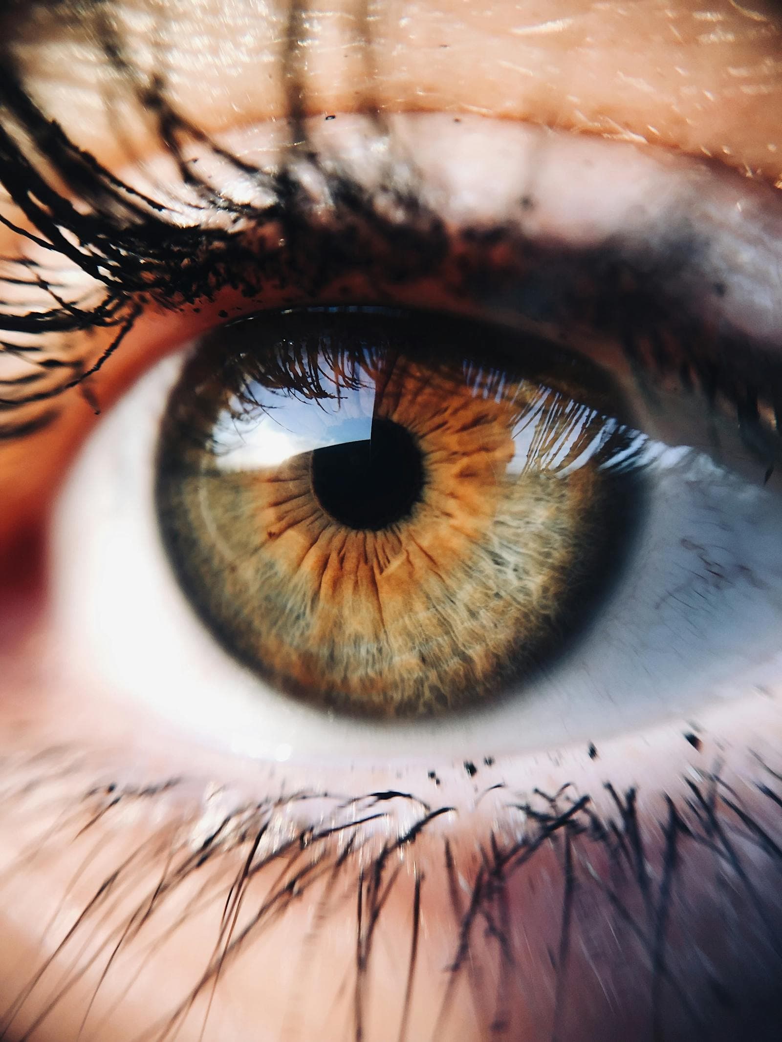 The Cinematic Trust System, explained